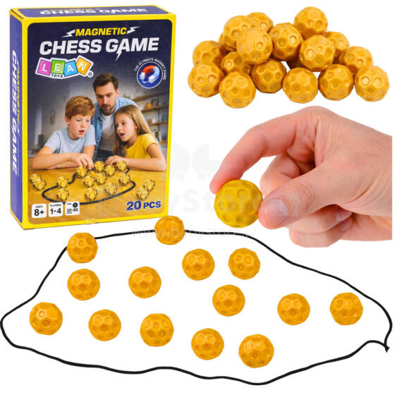 Family Magnetic Logic Game 20 Magnetic Pieces