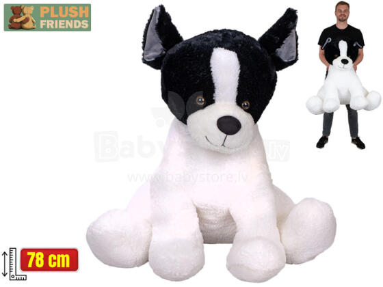 Plush toy - 03166 - FRENCH BULDOG - size 78 cm