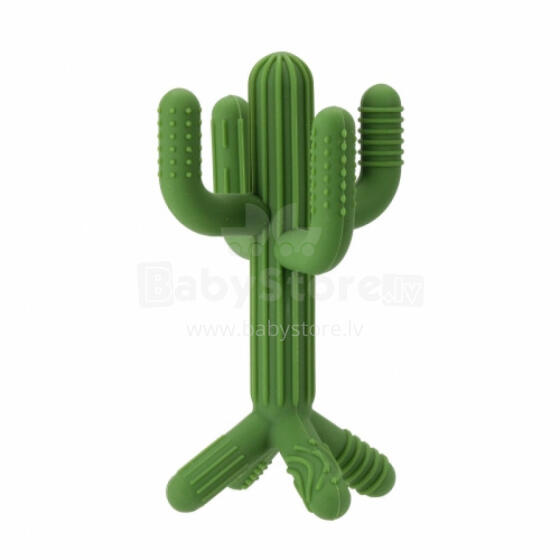 Teether - 584262 - Kaktuss 3D