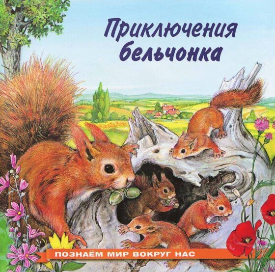 Kids Book Art.45113 Книжка Приключения бельчонка