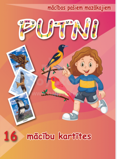 Kids Book Art.45488 Putni. 16 apmācības kartiņas