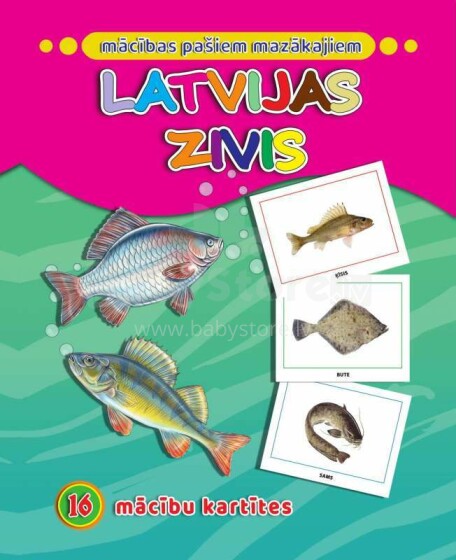 Kids Book Art.46045 Latvijas zivis. 16 apmācības kartiņas
