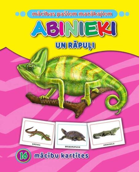 Kids Book Art.46046 Хищники.16 обучающих карточек