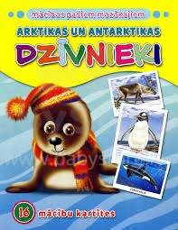 Kids Book Art.46053 Арктические животные.16 обучающих карточек
