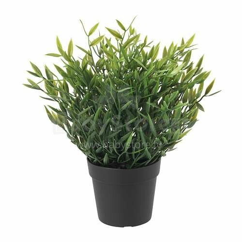 Pagaminta Švedijoje „Fejka“ 604.339.39 dirbtinis augalas vazone 26cm
