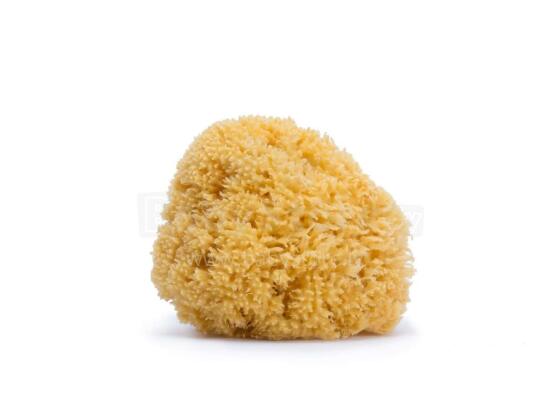 Suavinex Sponge Art.257282 Натуральная морская губка