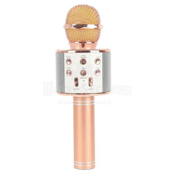 TLC Baby Microfone Art.WS-858