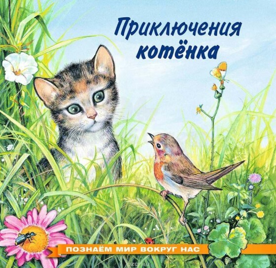 Kids Book Art.89612 Приключения котенка