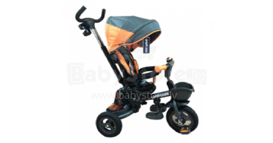 Baby Mix Typhoon Art.ET-B56 Grey  Детский трехколесный велосипед с ручкой управления и крышой
