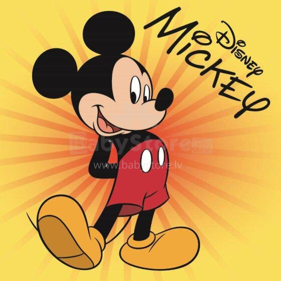 „Faro Tekstylia“ rankšluostis „Disney“ minkštas natūralios medvilnės rankšluostis 30х30cm