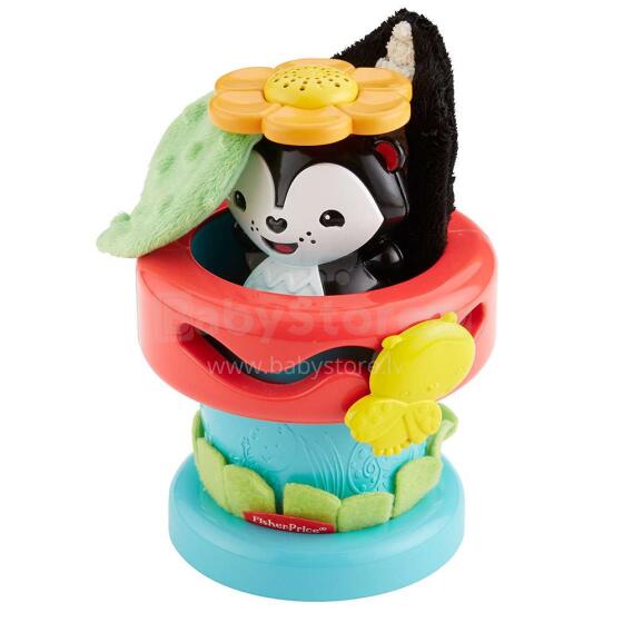 Fisher Price Pop Up Flower Pot Art.DFP91  Attīstošā rotaļlieta Puķpods