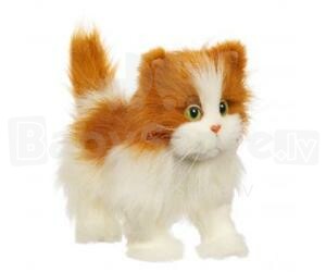 HASBRO 93968 FurReal Frends Cat Rotaļlieta Staigājošs kaķēns