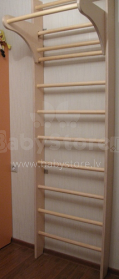 Десткий Спортивный Комплекс 250 cm Шведская стенка I