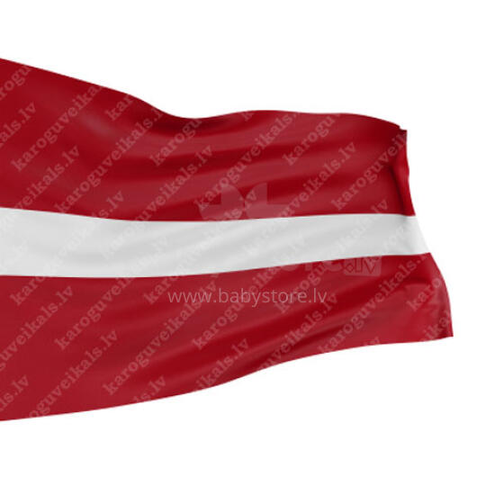 Latvijas Valsts Karogs mastam (100x200cm)