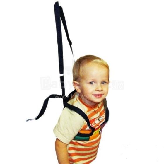 Safety First   Safe Walkers