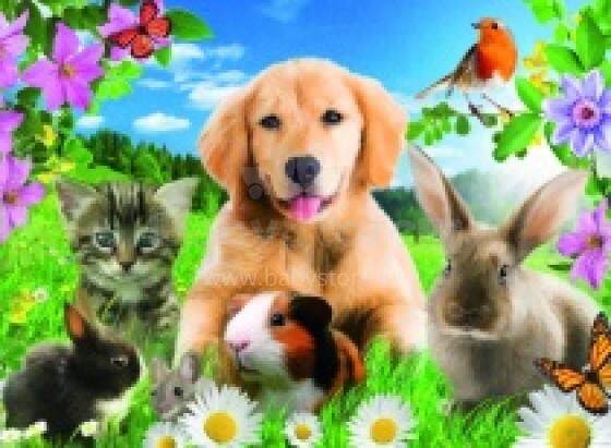 Ravensburger Art.14257 Puzzle Friends 500 шт.