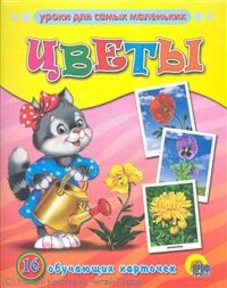 Уроки для самых маленьких. Цветы 16 обучающих карточек