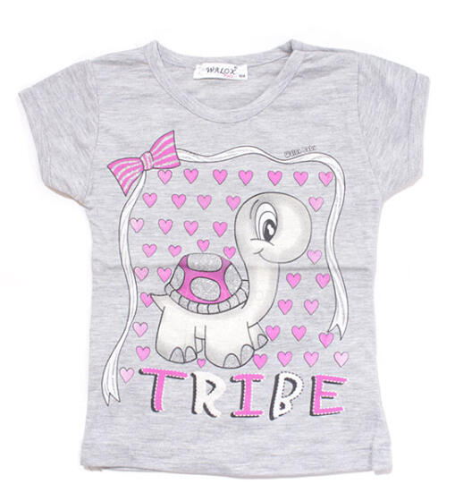Walox Tribe Grey Top for girls (TP25019-1)