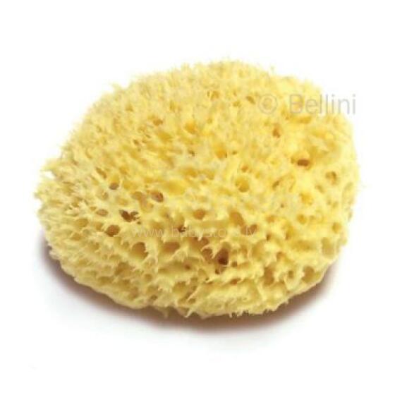 Bellini  Nat. Sea Sponge Honeycomb №8 Губка натуральная морская детская