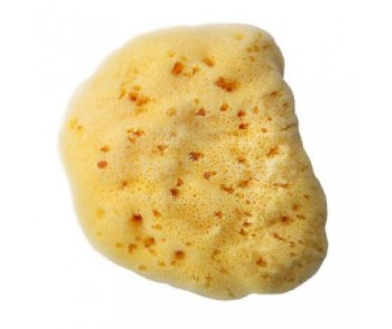 Bellini  Natural Sea Sponge Silk Fine №10