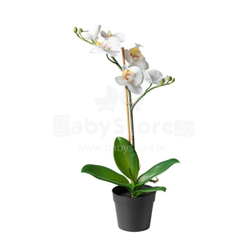 Ikea Fejka Art.002.859.08 Artificial potted plant, Orchid white