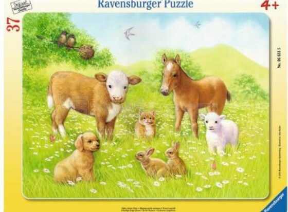 Ravensburger Puzzle 06631R 37 vnt. Pievoje