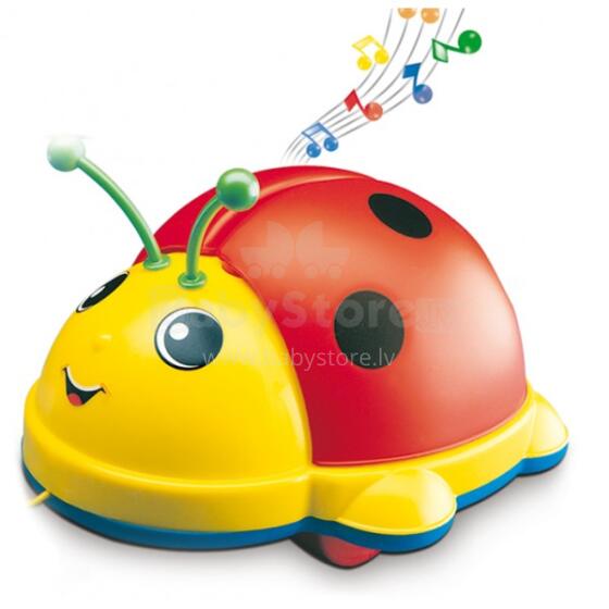 Molto Art.256 LadyBug