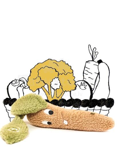 Eco Wool Art.1423-72 Carroty