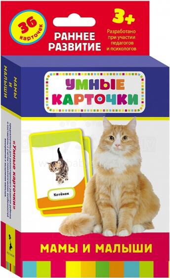 Раннее развитие Art. 9917 Attistības  kartiņu komplekts. Mammas un mazuļi ( krievu val.)