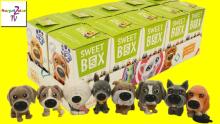 Sweet Box Dog Art.660-00015 Želejkonfektes ar rotaļlietu, 40g