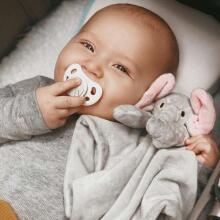 Twistshake Pacifier Art.78285 Pastel Blue Ortodontisks silikona māneklītis , 0-6 m