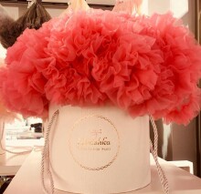 „LaVashka“ prabangių sijonų „Flamingo“ milteliai Art.99 Itin stambus sijonas princesėms