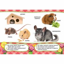 Children's cardboard book Pets