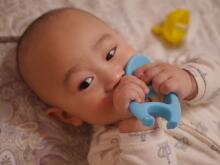 Mombella Elephant Teether Toy  Art.P8051 Blue  Силиконовый прорезыватель для зубов Слон