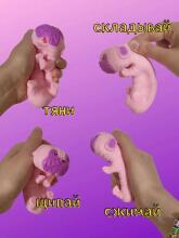 Toi Toys  Antistress Stretch Dog Art.39-620905  Silikona rotaļlieta antistress