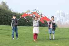 Hall Air Kite Art.111375
