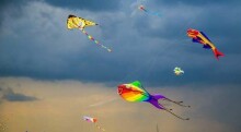 Hall Air Kite  Art.111393