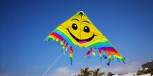 Hall Air Kite Art.111393  Воздушный змей