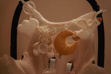 Little Dutch ratu rotaļlietu ķēde Newborn Naturals Art.8411