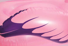 Bestway Flamingo  Art.32-41122 Надувная игрушка для купания