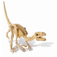 4M Kidz Labs  Art.00-13234  Velosireptora skelets