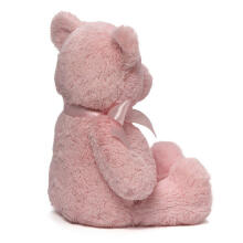 Gund My First Teddy Art.6055513  Мягкая игрушка Медвежонок,38см