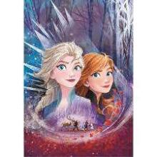 Clementoni Puzle Frozen Art.27154 Puzle  ,104gab