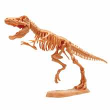 MEGASAUR MIGHTY zinātniskie piedzīvojumi dinozauru skeleta komplekts 2IN1, 3 asst., 16944C
