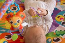 PLAYGRO aktivitāšu paklājs ar melodijām  Woodlands, 0186993