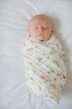 Lorelli Swaddle Muslin  Art.10340091903 Pink Dots