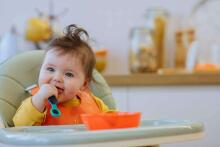 TOMMEE TIPPEE Smushee pirmie karotes 2 gab., 4m+, mix 44718610