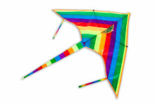 Ikonka Kite Art.KX9671   Воздушный змей с леской