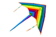 Ikonka Kite Art.KX9671 Lidojošs gaisa pūķis