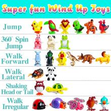 Kidsworld Wind Up Toy Art.13250 Заводная игрушка ,1 шт